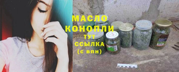 соль ск Вяземский