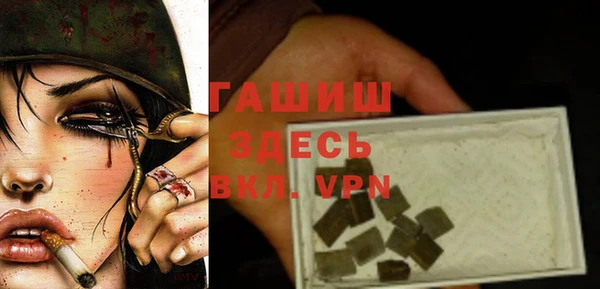 шишки Горняк