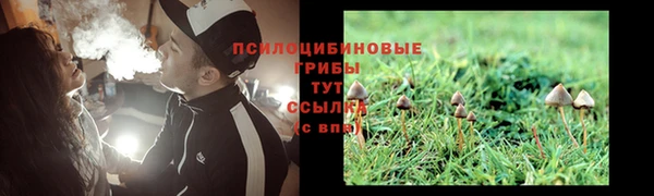 прущая мука Верхний Тагил