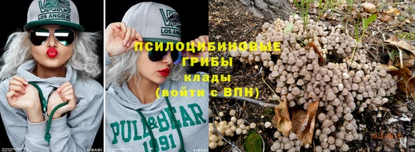 гидра Волосово