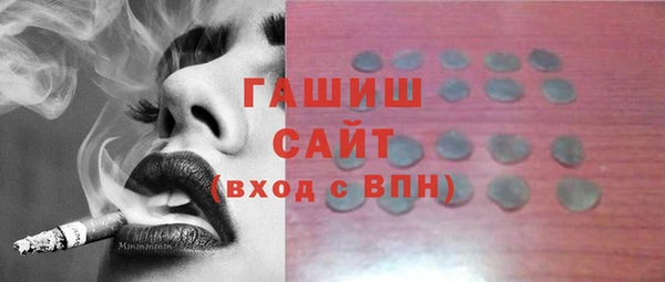 шишки Горняк
