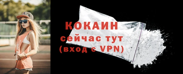 шишки Горняк