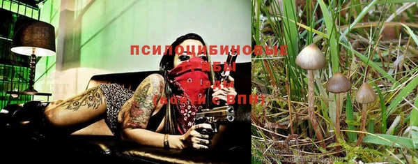 прущие крисы Володарск