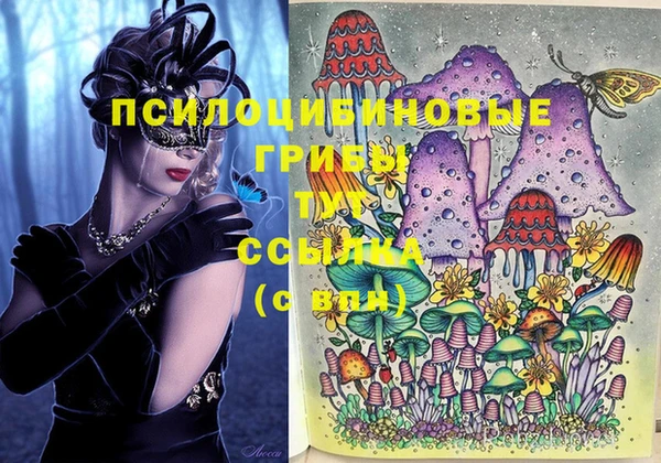 прущие крисы Володарск