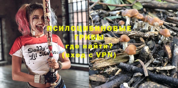 a pvp Гусев